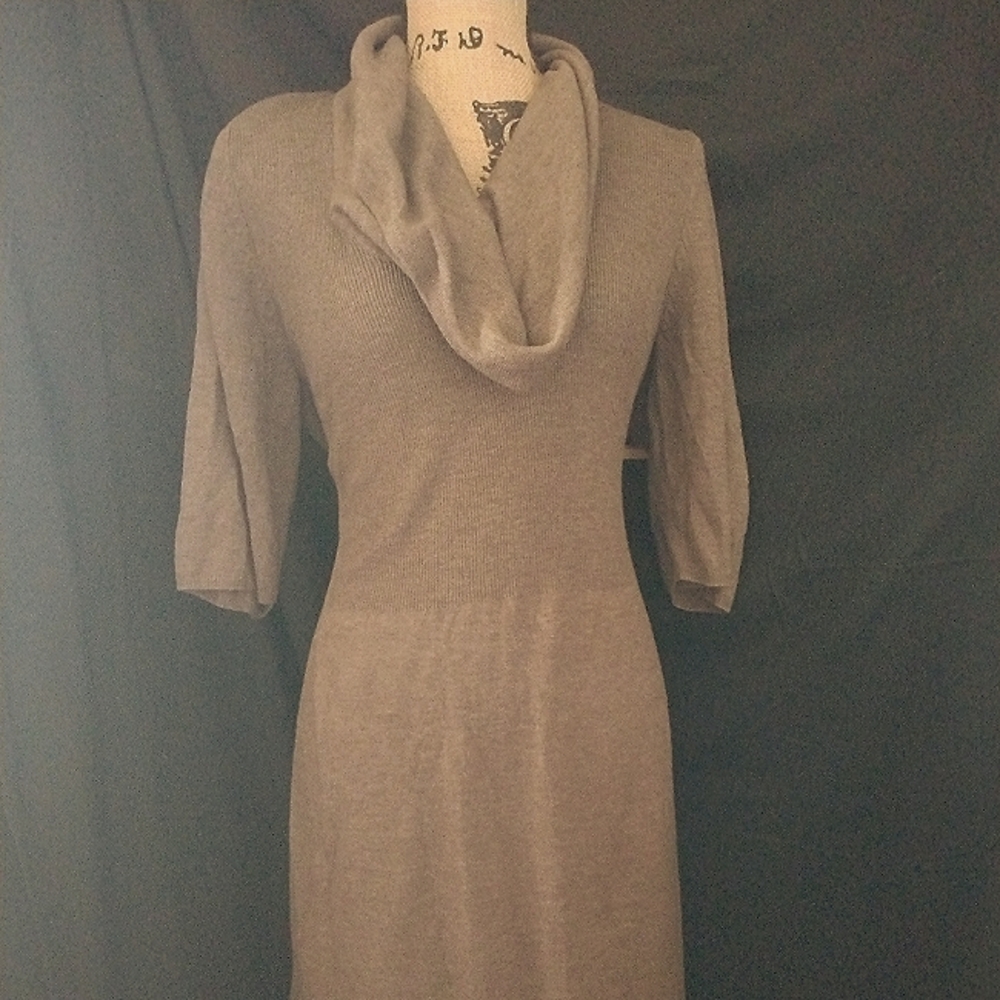 Robbie Bee Brown Dress